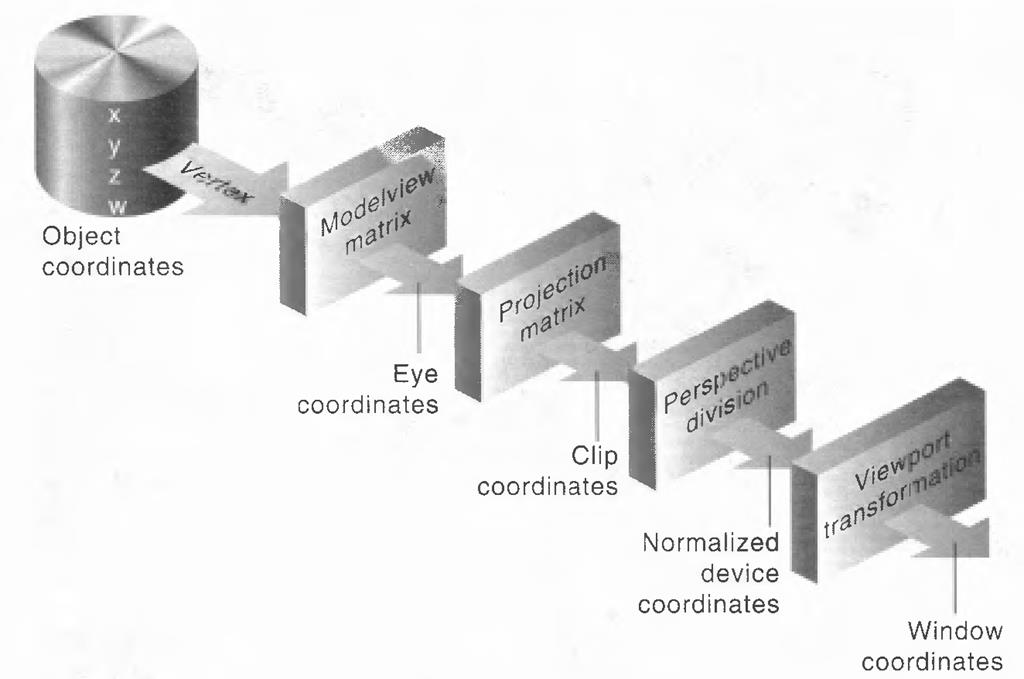 Stages of Vertex Transformation 