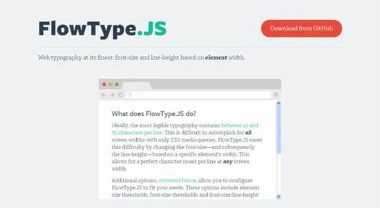 flowtypejs