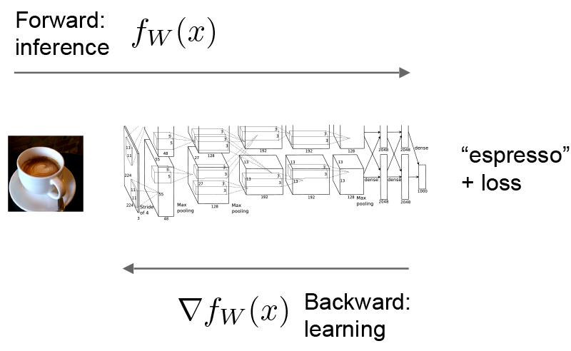 Forward and Backward