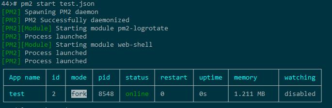 pm2_example_start