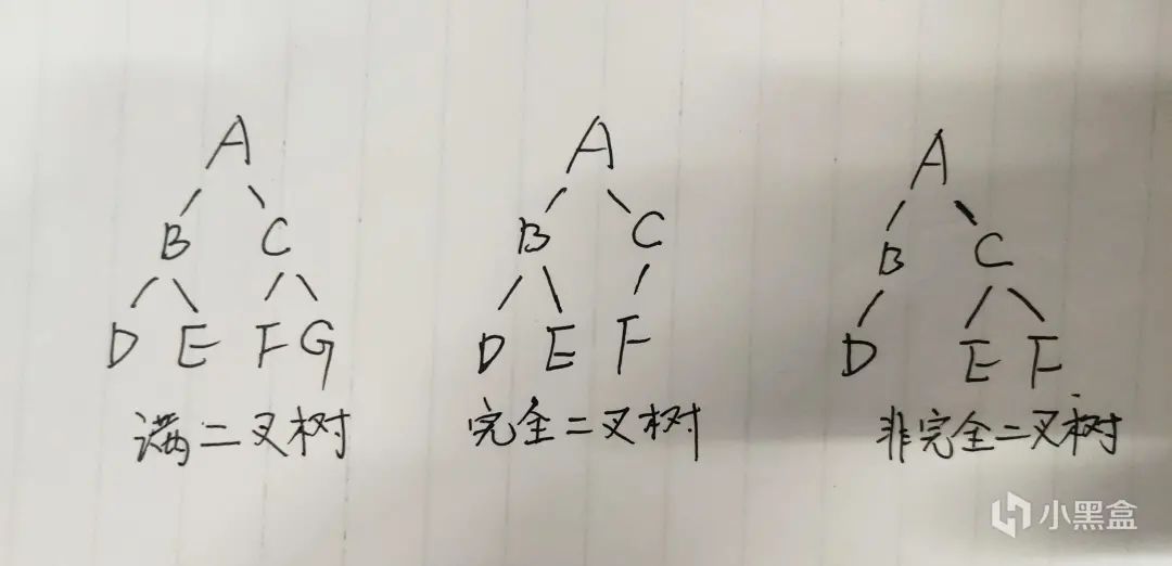 计算机二级选择题技巧（六）二叉树的分类与性质