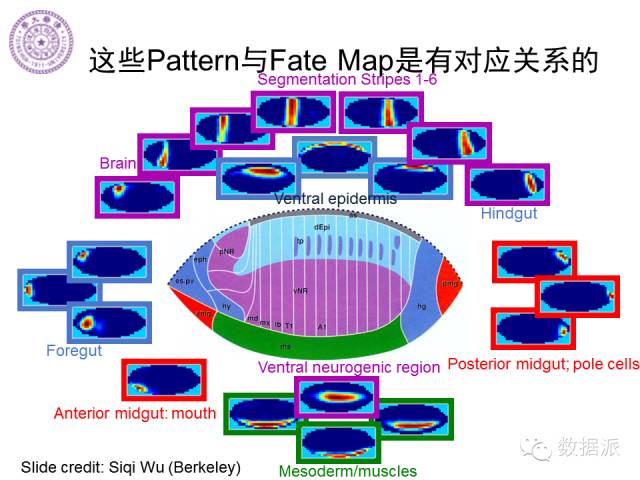 徐葳：生物医学影像处理、分布式系统与数据共享平台