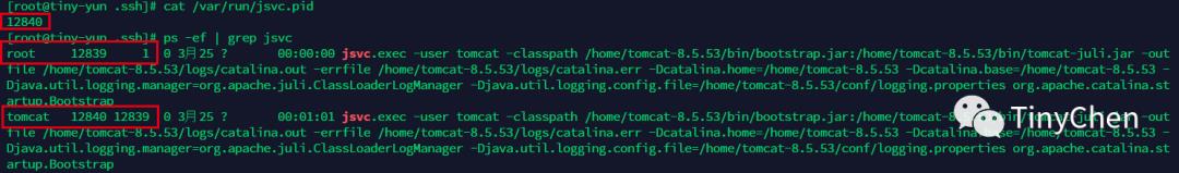 Tomcat篇01-概念简介和守护进程配置