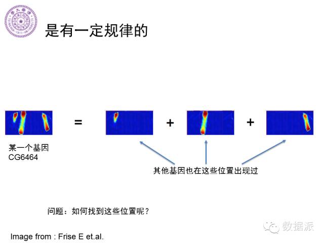 徐葳：生物医学影像处理、分布式系统与数据共享平台