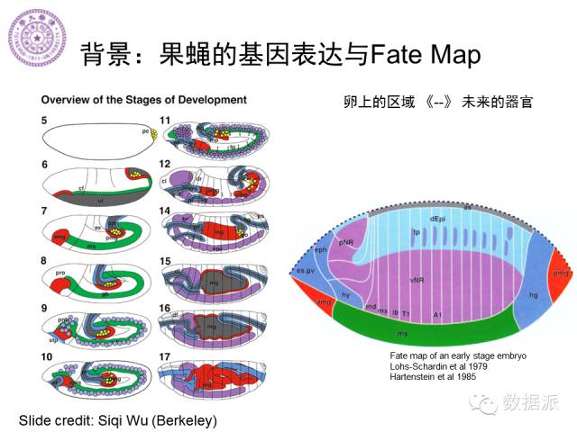 徐葳：生物医学影像处理、分布式系统与数据共享平台