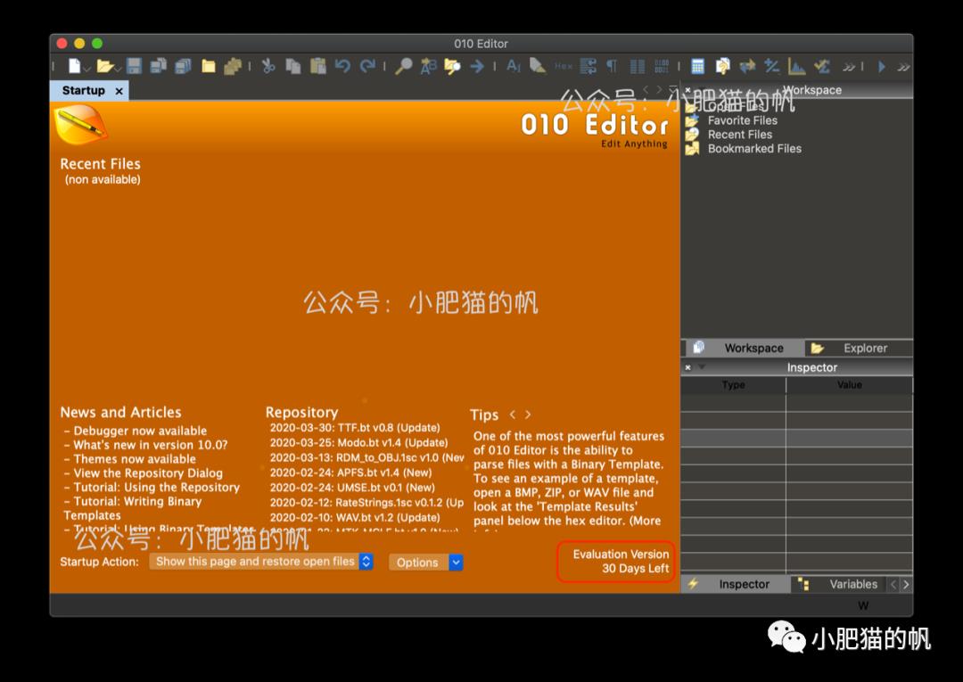 macOS软件-010 Editor 10.0.2【强大的十六进制编辑器】