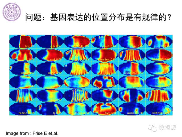 徐葳：生物医学影像处理、分布式系统与数据共享平台