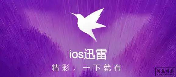 IOS迅雷：最新版上架商店，需要的速度下载！