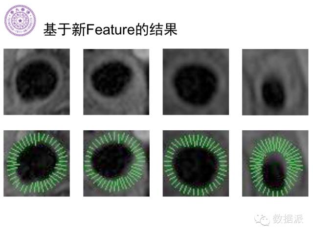 徐葳：生物医学影像处理、分布式系统与数据共享平台