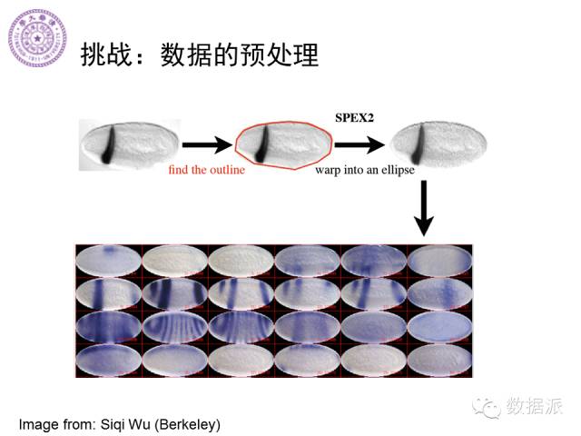 徐葳：生物医学影像处理、分布式系统与数据共享平台