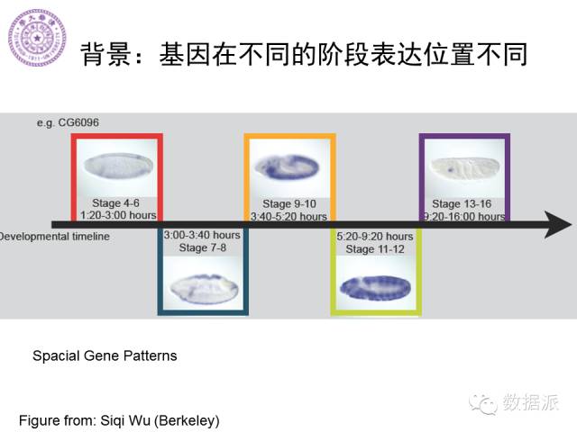 徐葳：生物医学影像处理、分布式系统与数据共享平台