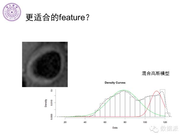 徐葳：生物医学影像处理、分布式系统与数据共享平台