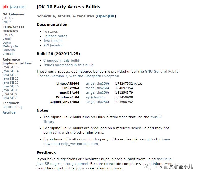 D哥，JDK16刚刚又发布了？网友：我还在用JDK8，是不是out了~