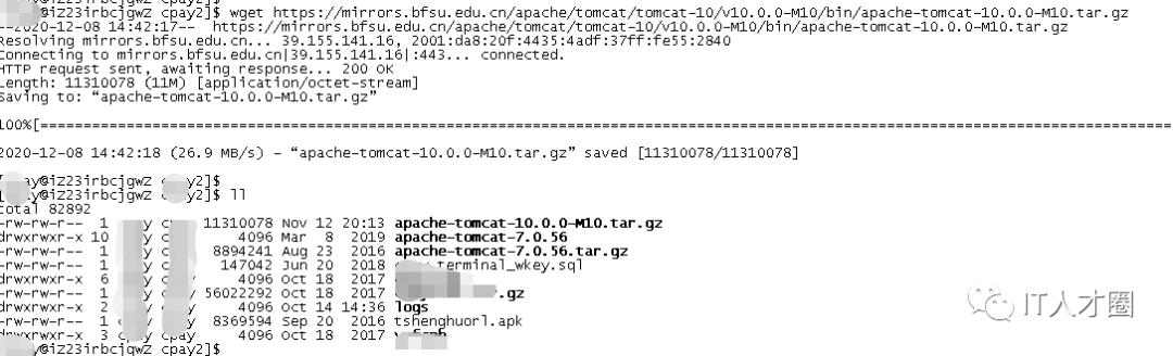 Tomcat10安装与配置图文教程