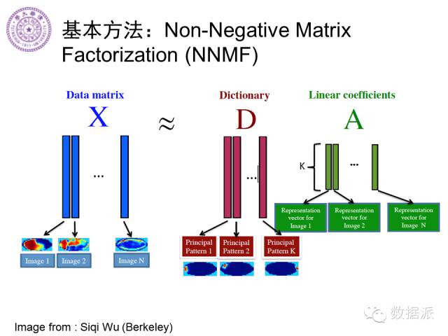 徐葳：生物医学影像处理、分布式系统与数据共享平台