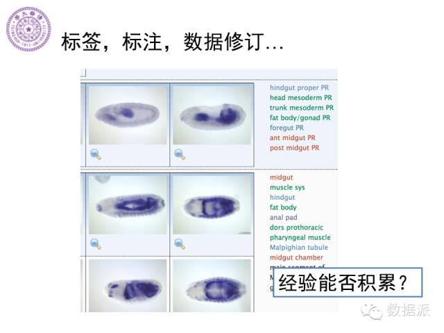 徐葳：生物医学影像处理、分布式系统与数据共享平台