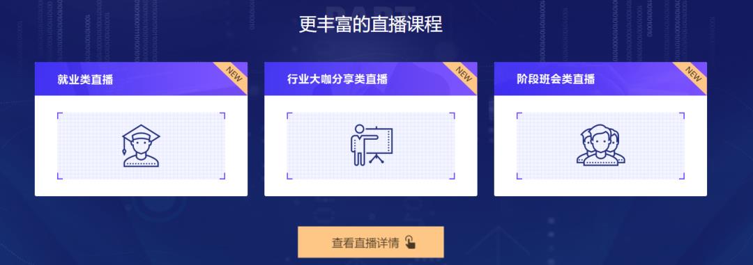 Java数组概念与常用算法