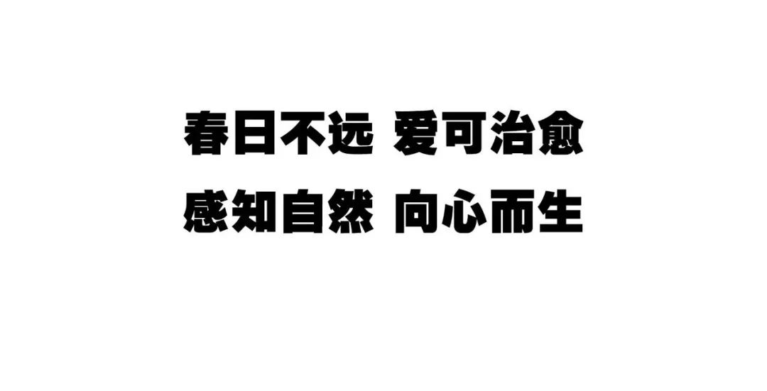 威玛时尚丨XMLéè 真丝印花·春日治愈系