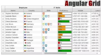 推荐 15 个 Angular.js 应用扩展指令