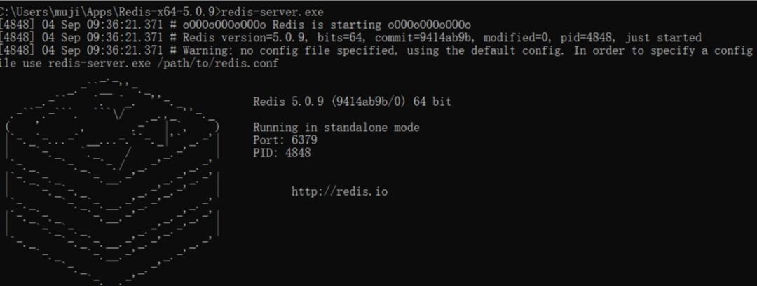 高级测试都要懂的 redis 数据库操作