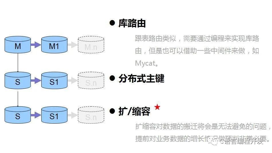 新手编程之旅：MySQL中的关键点！一文带你搞懂它