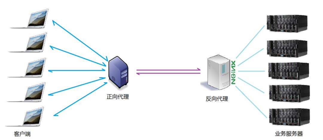 一篇让你能够玩转 Nginx 的文章!