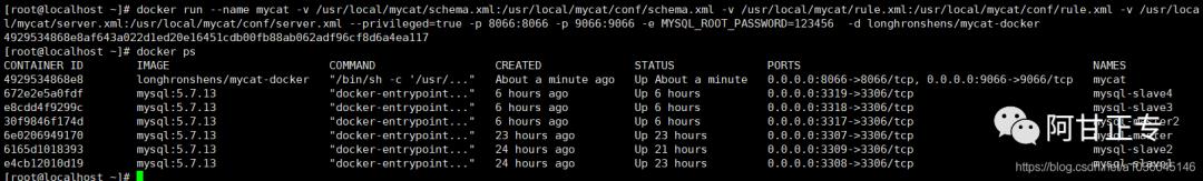 【mycat系列二】Docker安装mycat并实现MySQL的读写分离