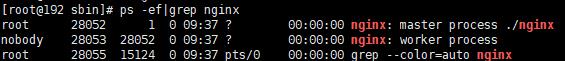 多图预警，神器 Nginx 的学习手册