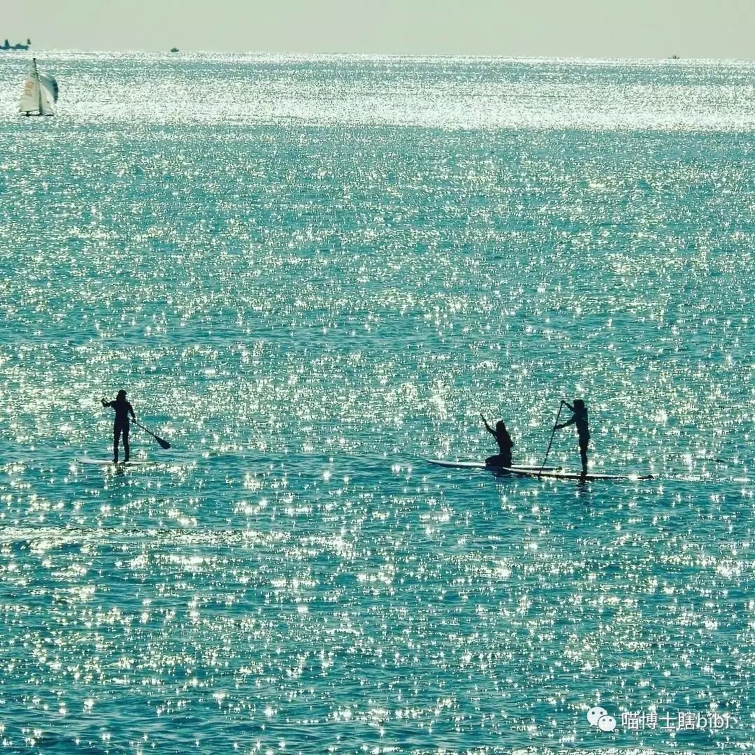 Stand Up Paddle～浆板普及贴