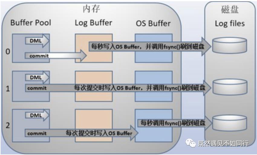 MYSQL查询和插入数据的流程是怎样的