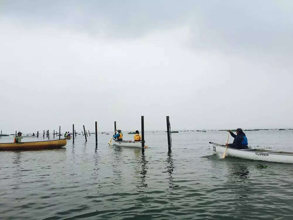 【活动回顾】Paddle Canada 独木舟秋季培训