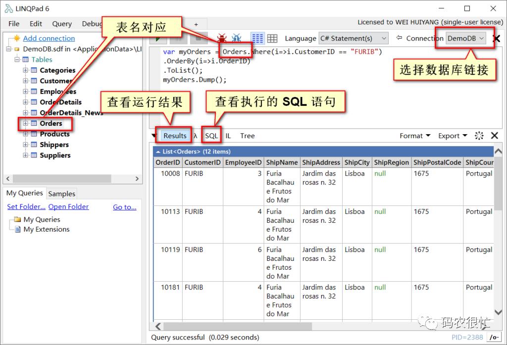 .NET 程序员的 Playground ：LINQPad