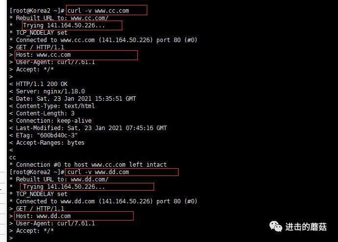 Nginx构建高可用集群，实现负载均衡应对高并发