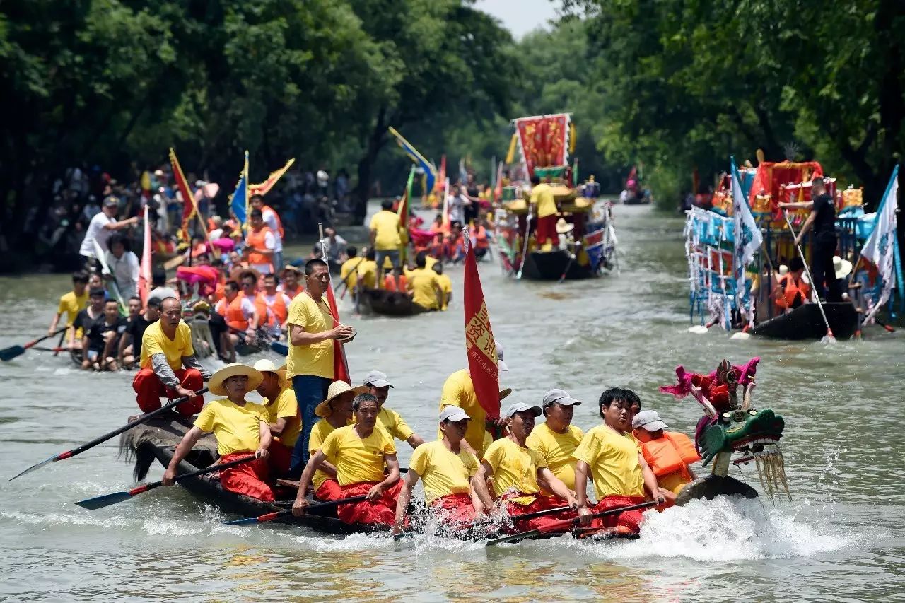 Foreigners can paddle dragon boats to Duanwu Festival