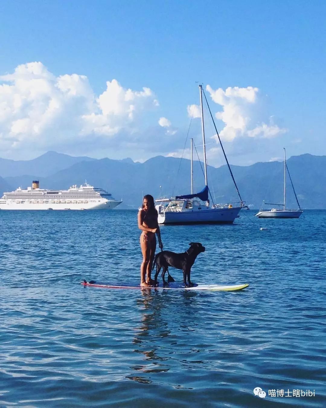 Stand Up Paddle～浆板普及贴