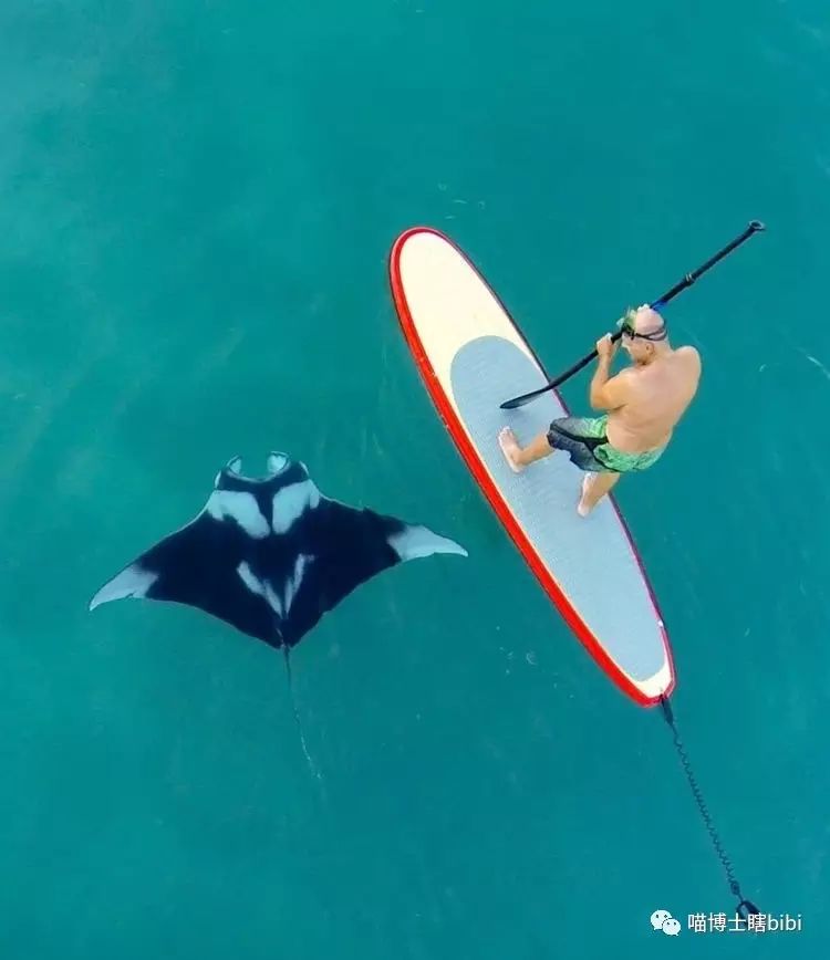 Stand Up Paddle～浆板普及贴