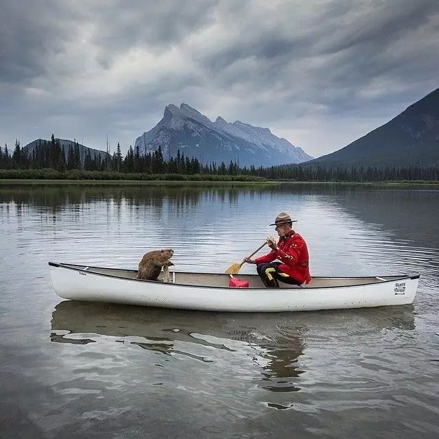 10月20—10月23日！Paddle Canada独木舟教练证培训登陆漫道上海海湾户外运动基地！