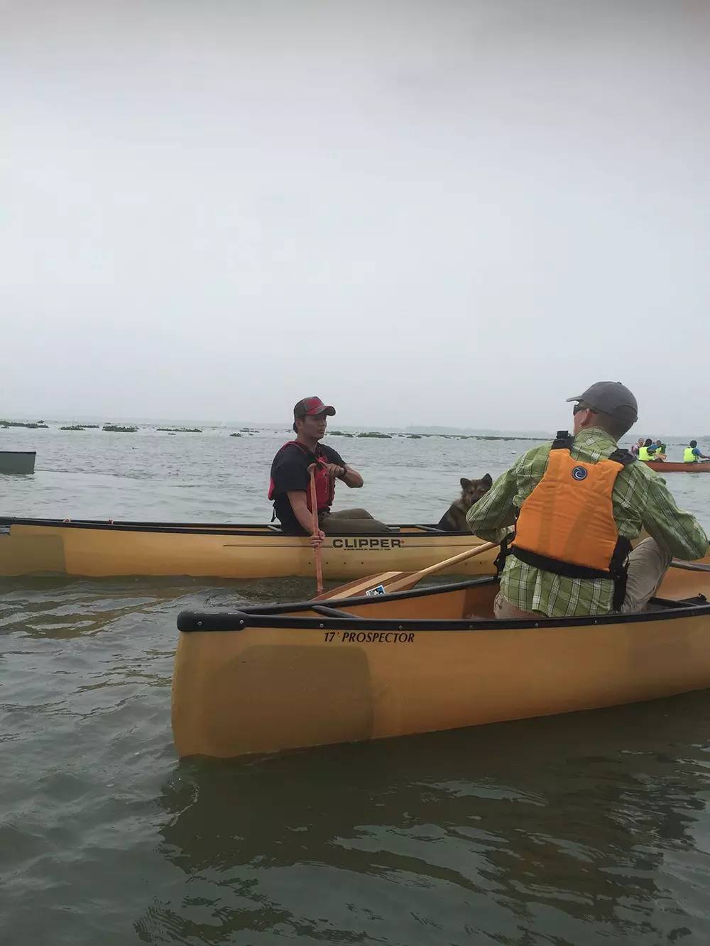 【活动回顾】Paddle Canada 独木舟秋季培训