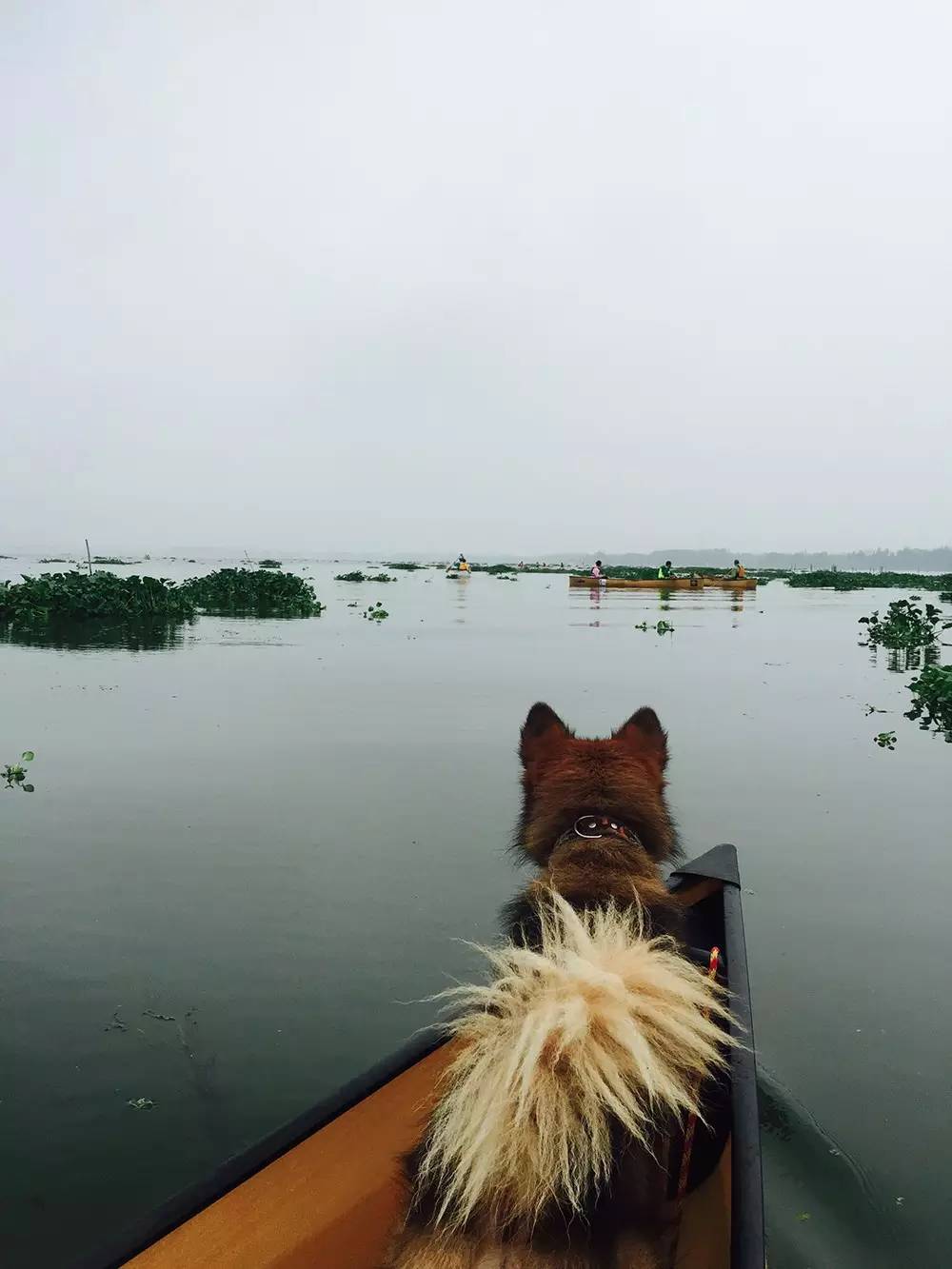 【活动回顾】Paddle Canada 独木舟秋季培训