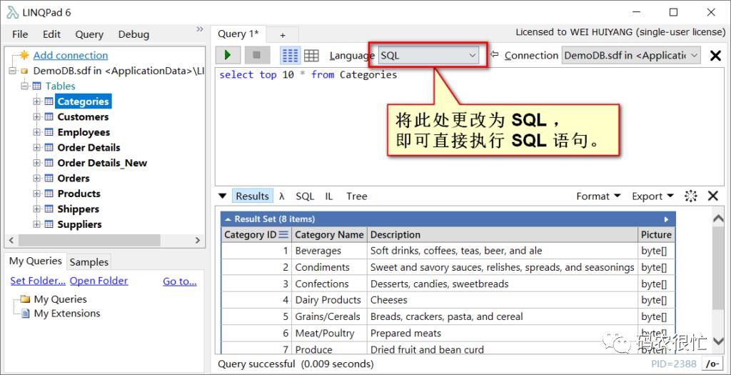 .NET 程序员的 Playground ：LINQPad