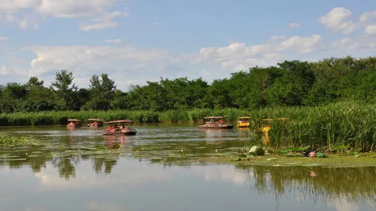 Paddle power: 4 great spots to go boating (that are not Houhai)