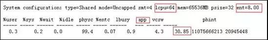 当运维 PowerVM 时，CPU 我们该看什么