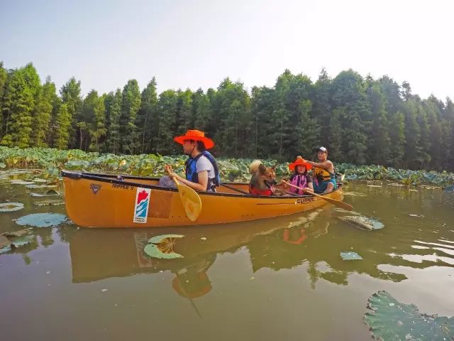 10月20—10月23日！Paddle Canada独木舟教练证培训登陆漫道上海海湾户外运动基地！