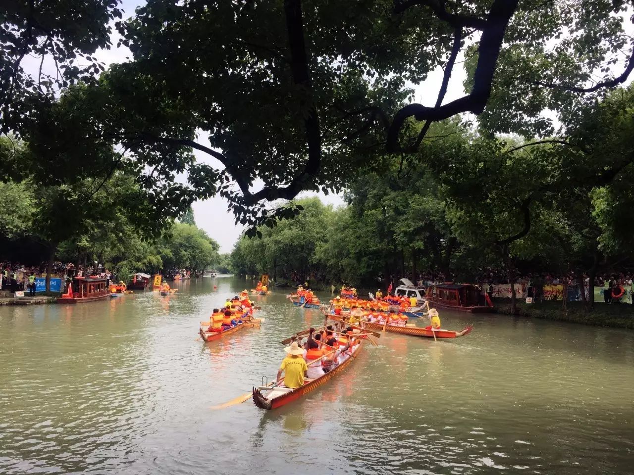 Foreigners can paddle dragon boats to Duanwu Festival