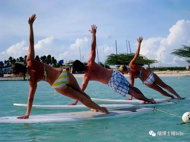 Stand Up Paddle～浆板普及贴