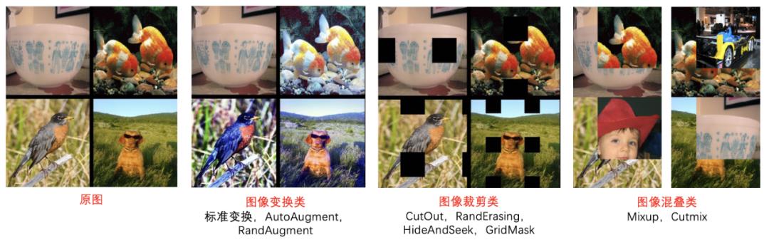 23个系列分类网络，10万分类预训练模型，这是飞桨PaddleClas百宝箱