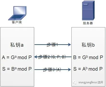 HTTP/2 未来已来，HTTP/3 未来？