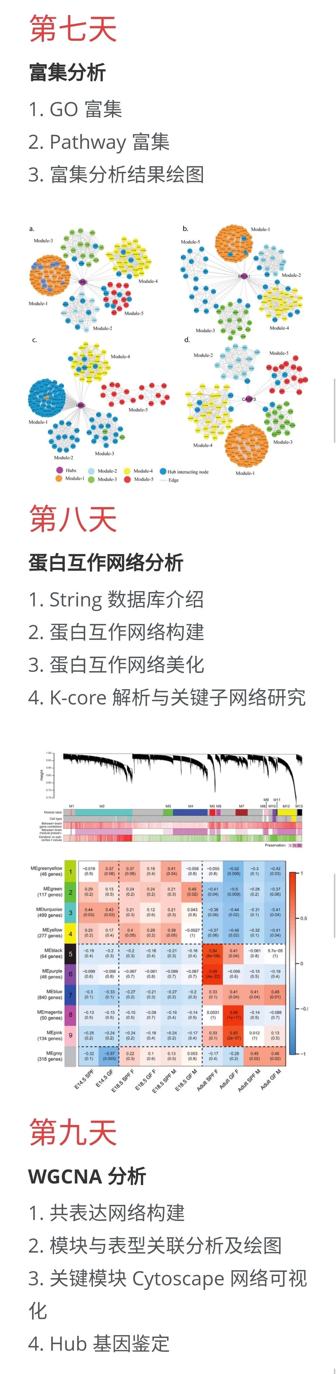 倒计时 2 天｜9 晚掌握数据挖掘和R语言操作