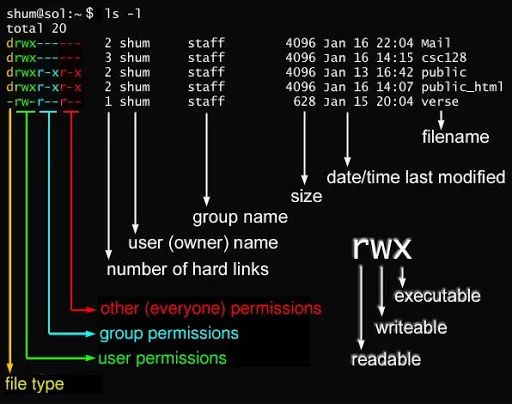 过完年了，打工人已就位-linux基础